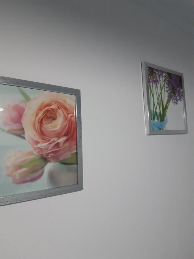 Apartamento Piquinho Machico  Bagian luar foto