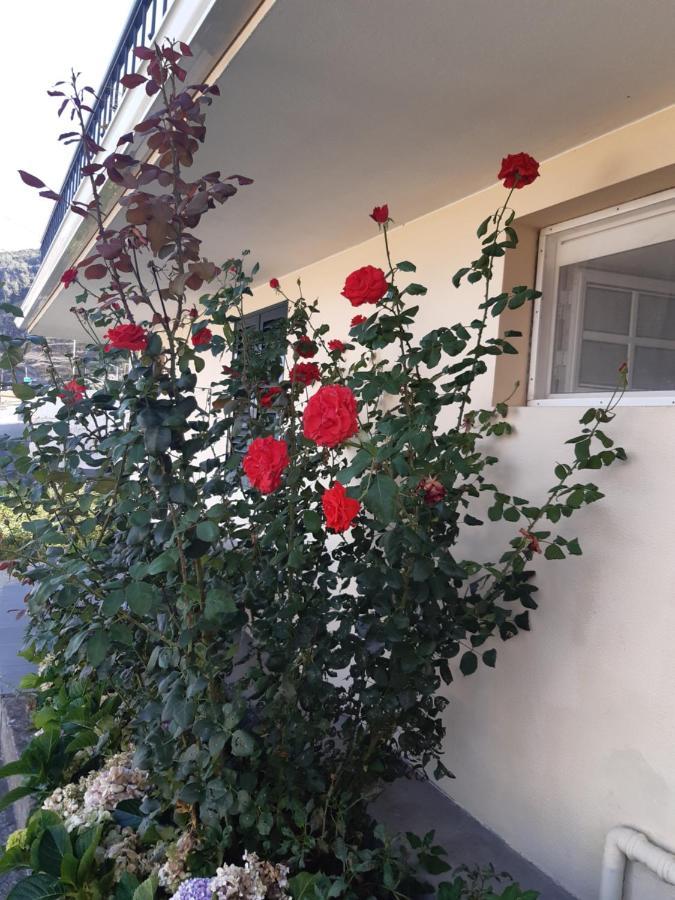 Apartamento Piquinho Machico  Bagian luar foto